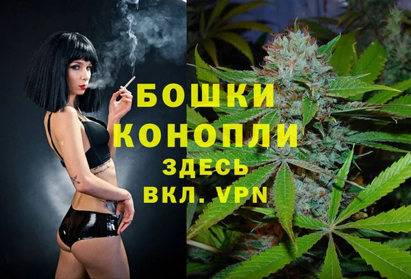 ПСИЛОЦИБИНОВЫЕ ГРИБЫ Нея