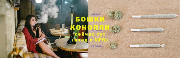 ПСИЛОЦИБИНОВЫЕ ГРИБЫ Нея