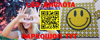 стафф Гатчина