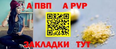 стафф Гатчина