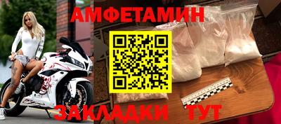 стафф Гатчина