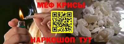 стафф Гатчина
