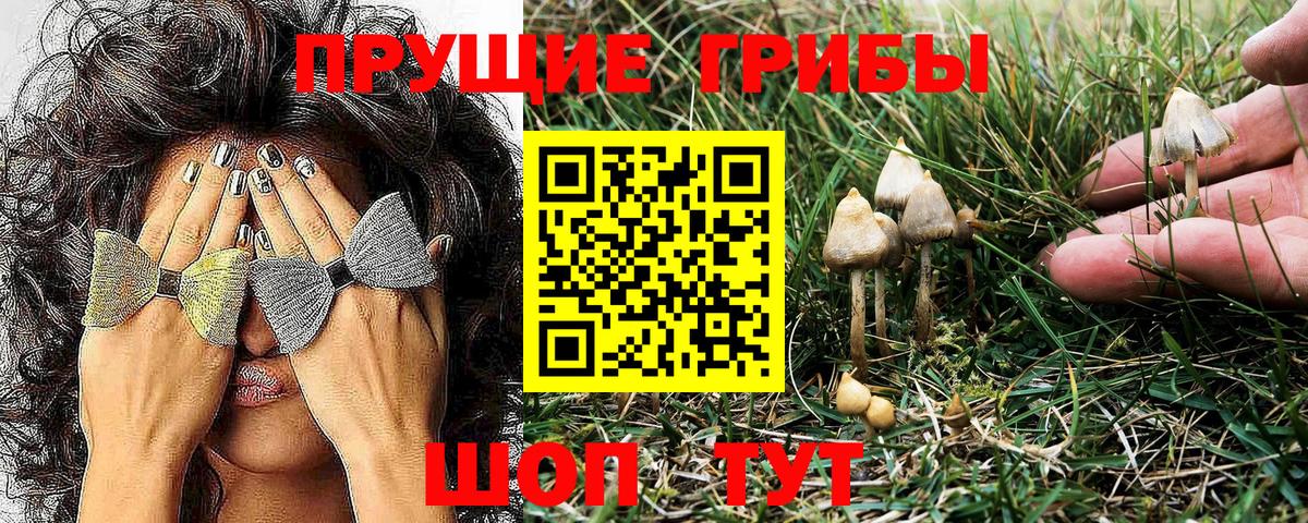 Галлюциногенные грибы MAGIC MUSHROOMS Кропоткин