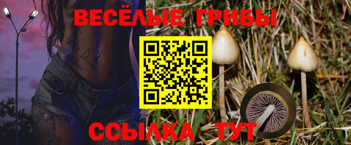 Псилоцибиновые грибы MAGIC MUSHROOMS  Вход с VPN  Кропоткин 