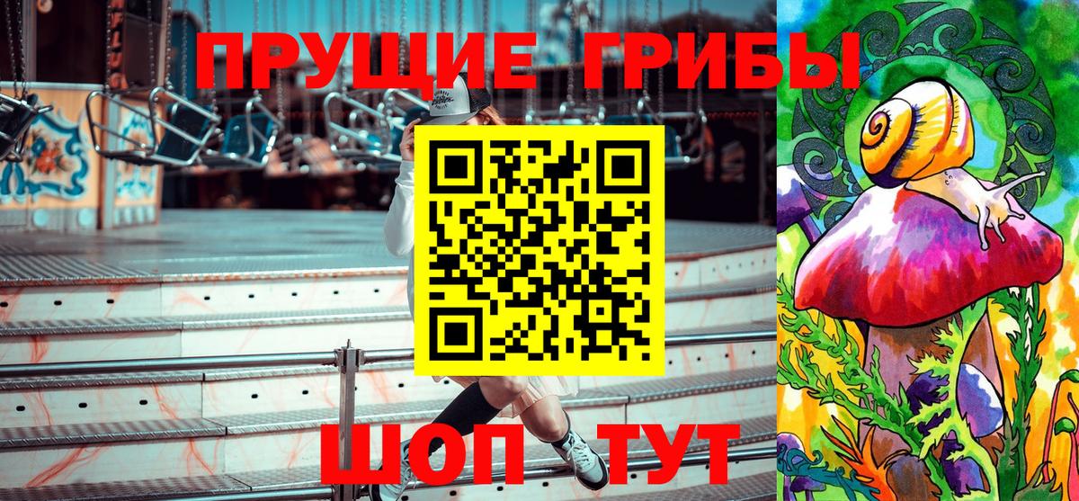 Галлюциногенные грибы прущие грибы  Галлюциногенные грибы Cubensis  Кропоткин 