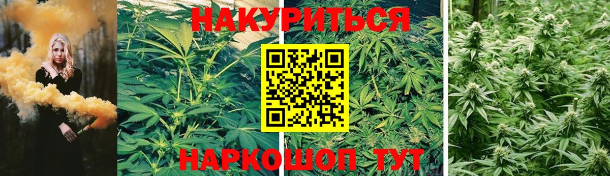 МАРИХУАНА тримм  Кропоткин  Бошки марихуана гибрид 